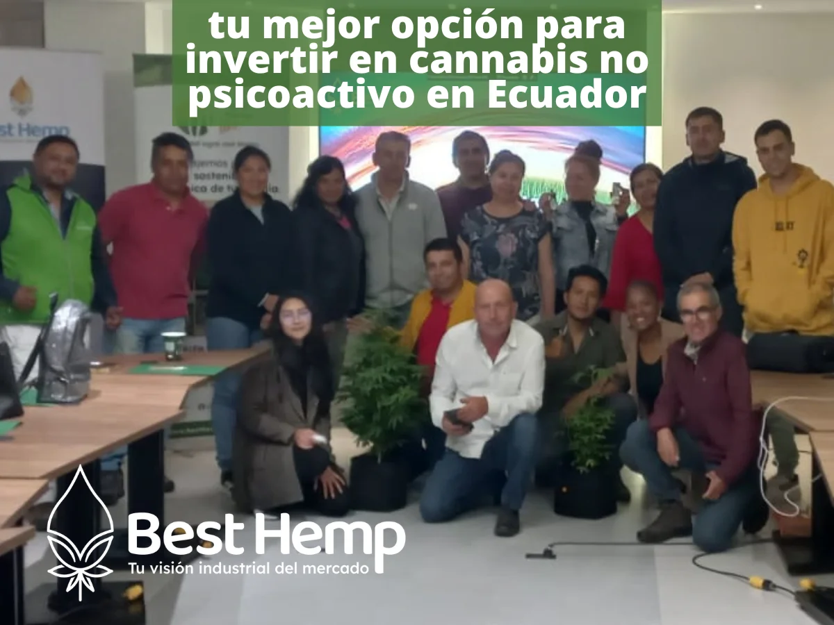 Best Hemp. Inversión en cannabis no psicoactivo en Ecuador