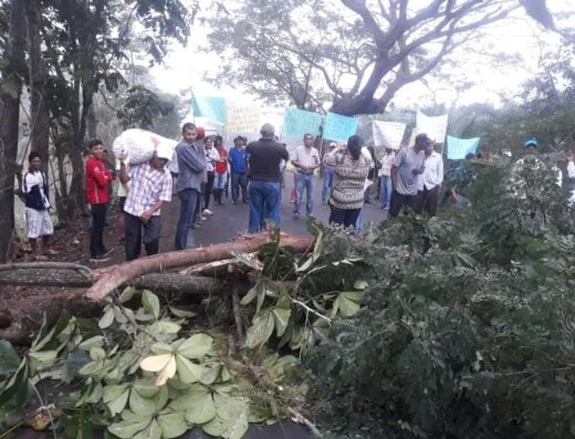 Movimiento Nacional Campesino Ecuador – Soberanía Alimentaria.