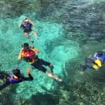 Práctica de snorkeling en áreas de arrecifes de coral