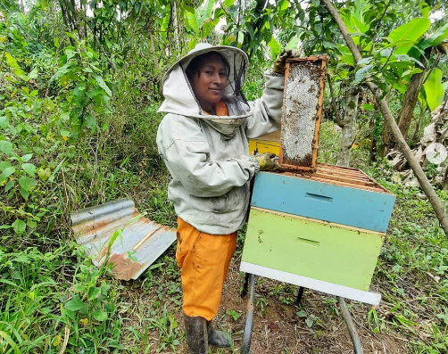 NAMAVID. Honey and natural products Morona Santiago