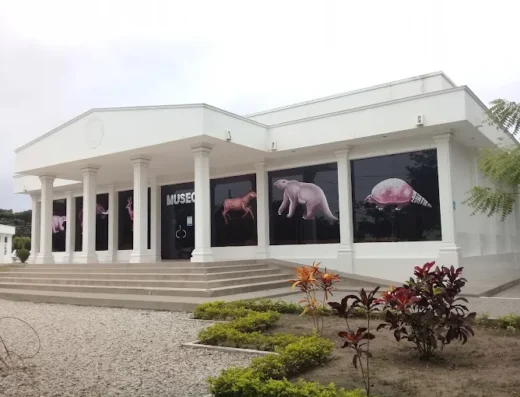 Megatherium Paleontological Museum - UPSE: Fossil Treasures of Ecuador