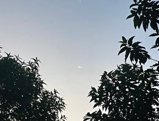 Hermoso atardecer en la amazonía ecuatoriana. Territorio sapara, provincia de Pastaza