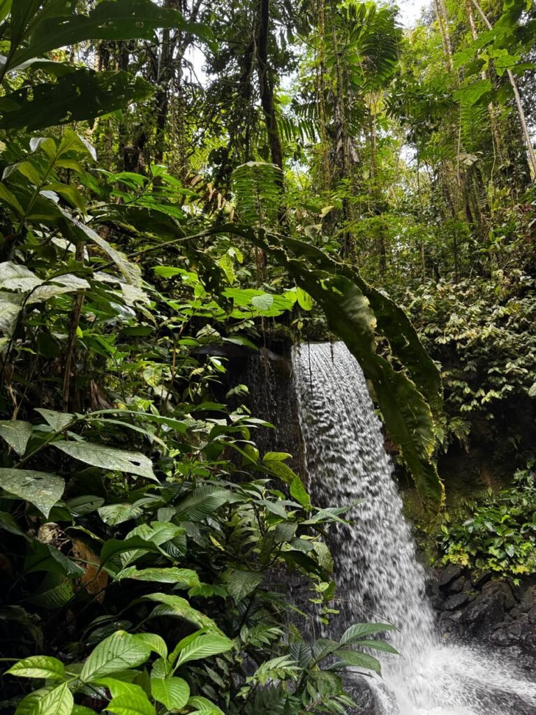 whatsapp image 2026 03 26 at 10.07.14 am